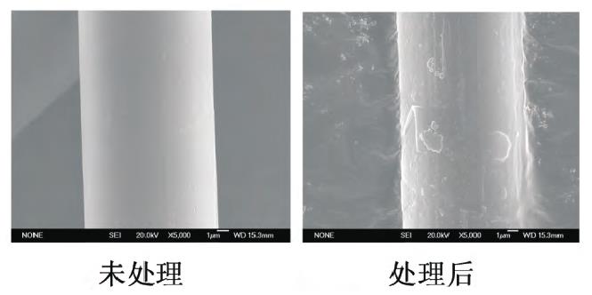 等离子体处理前后PBO纤维表面宏观形貌的变化